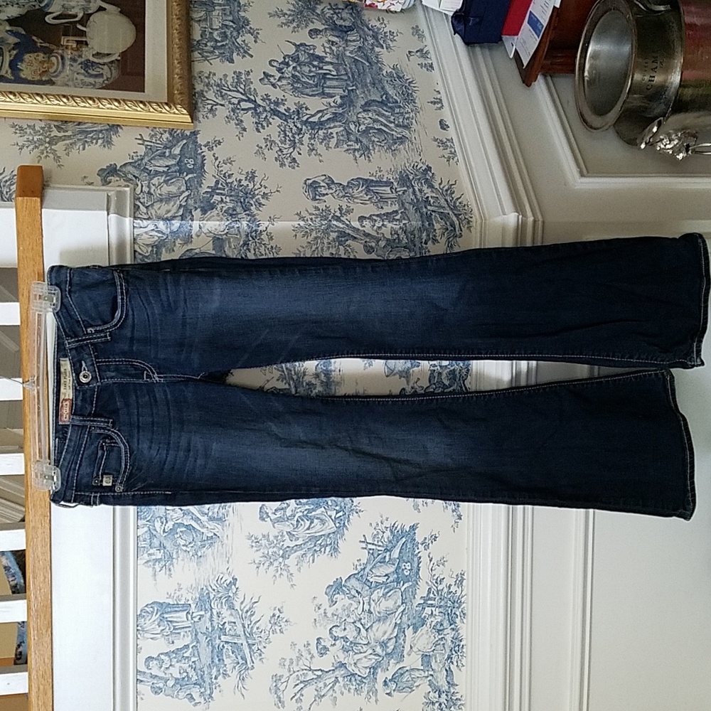 BIG STAR Remy Flare low rise Jean's 24R
